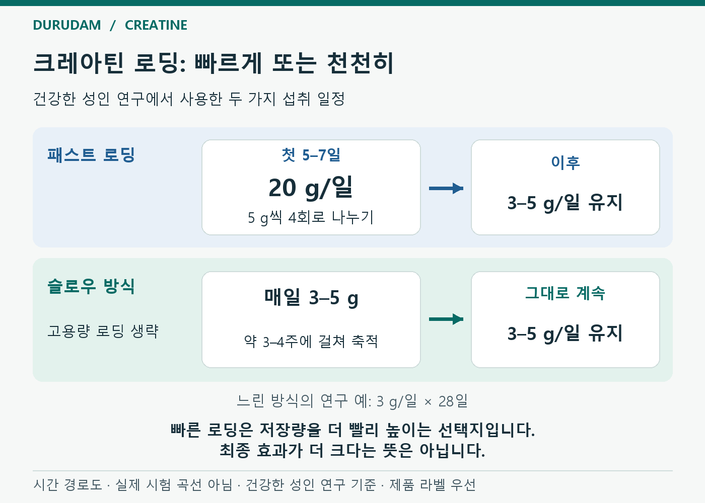 두 가지 크레아틴 섭취 일정. 빠른 로딩은 첫 5–7일 하루 20g을 5g씩 4회로 나눈 뒤 하루 3–5g을 유지한다. 느린 방식은 고용량 로딩 없이 하루 3–5g으로 약 3–4주에 걸쳐 저장량을 높이고 계속 유지한다. 3g씩 28일 연구 예를 함께 표시했다.